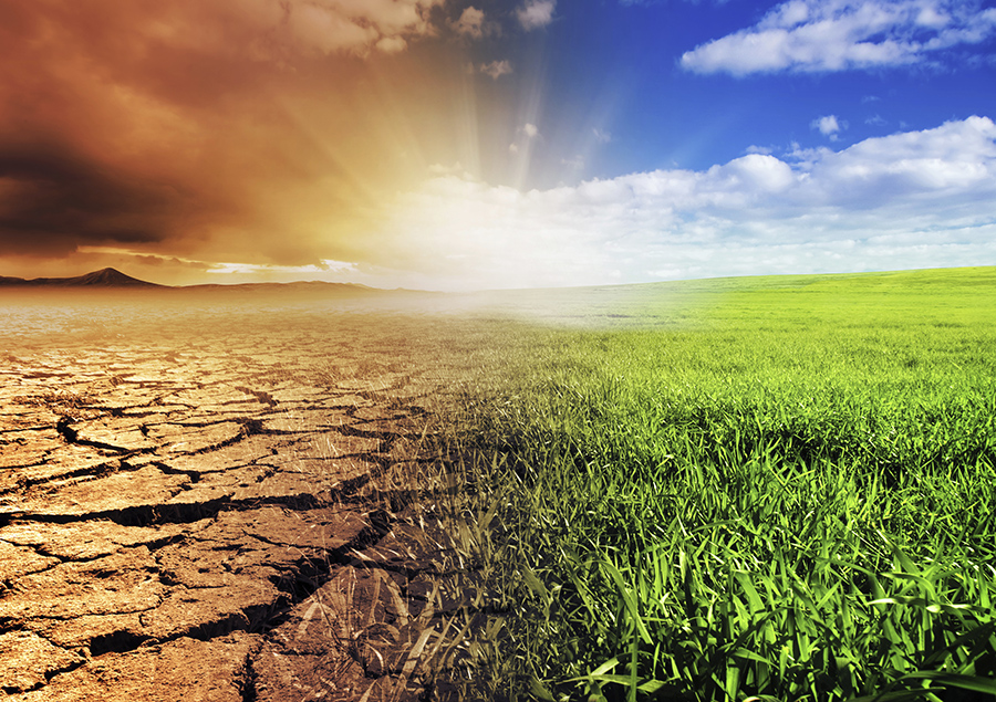 Mahorine Environmental Services (Pty) Ltd